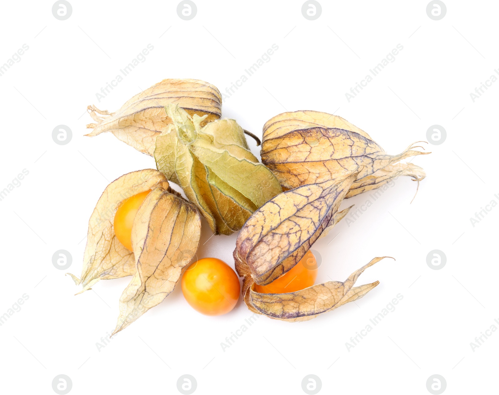 Photo of Many ripe physalis fruits with calyxes isolated on white, top view