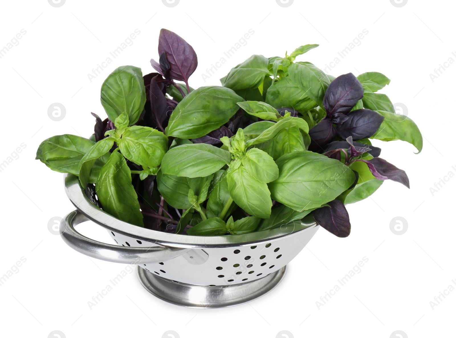 Photo of Metal colander with fresh basil leaves isolated on white