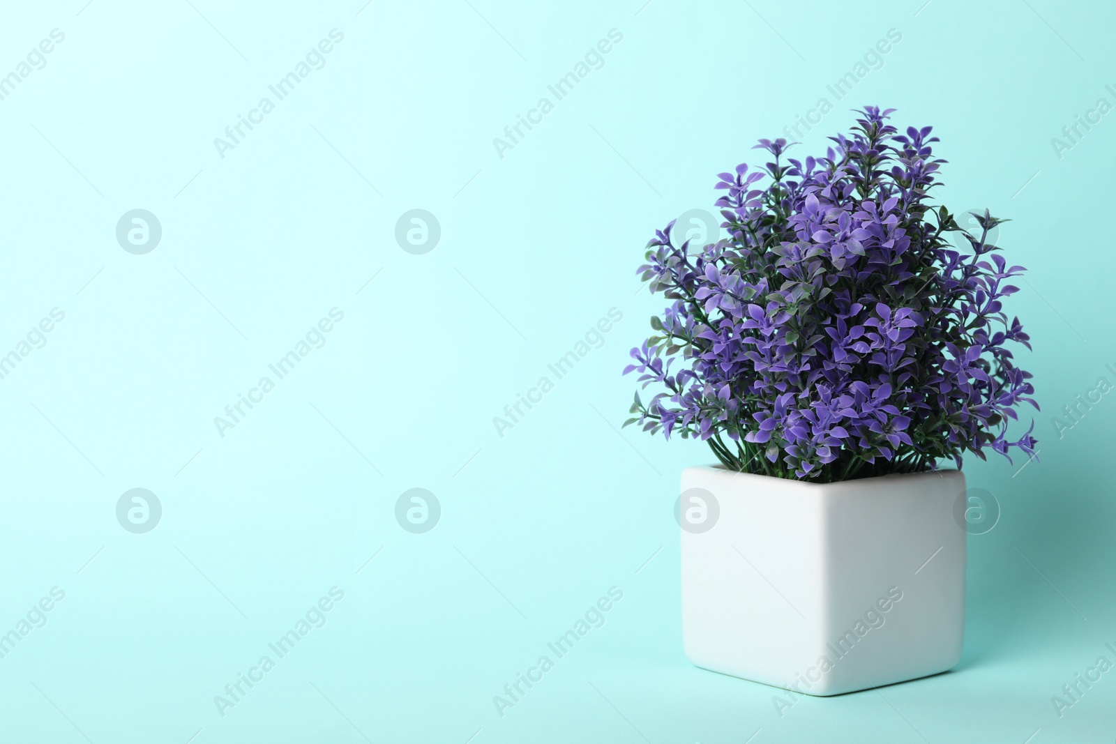 Photo of Artificial plant in flower pot on light blue background. Space for text