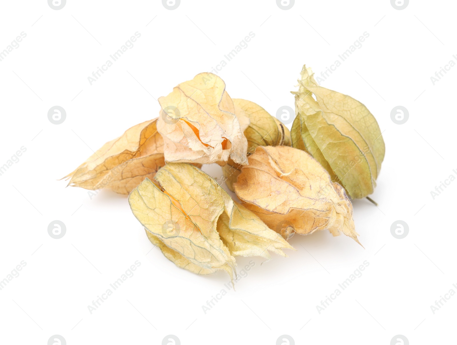 Photo of Many ripe physalis fruits with calyxes isolated on white