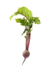 Photo of Fresh beet with leaves on white background