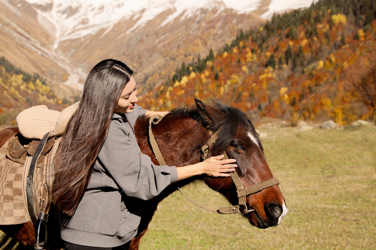 Photo of Young woman stroking horse in mountains on sunny day. Beautiful pet