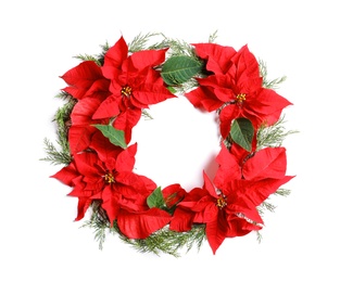 Flat lay composition with poinsettia and space for text on white background. Traditional Christmas flower