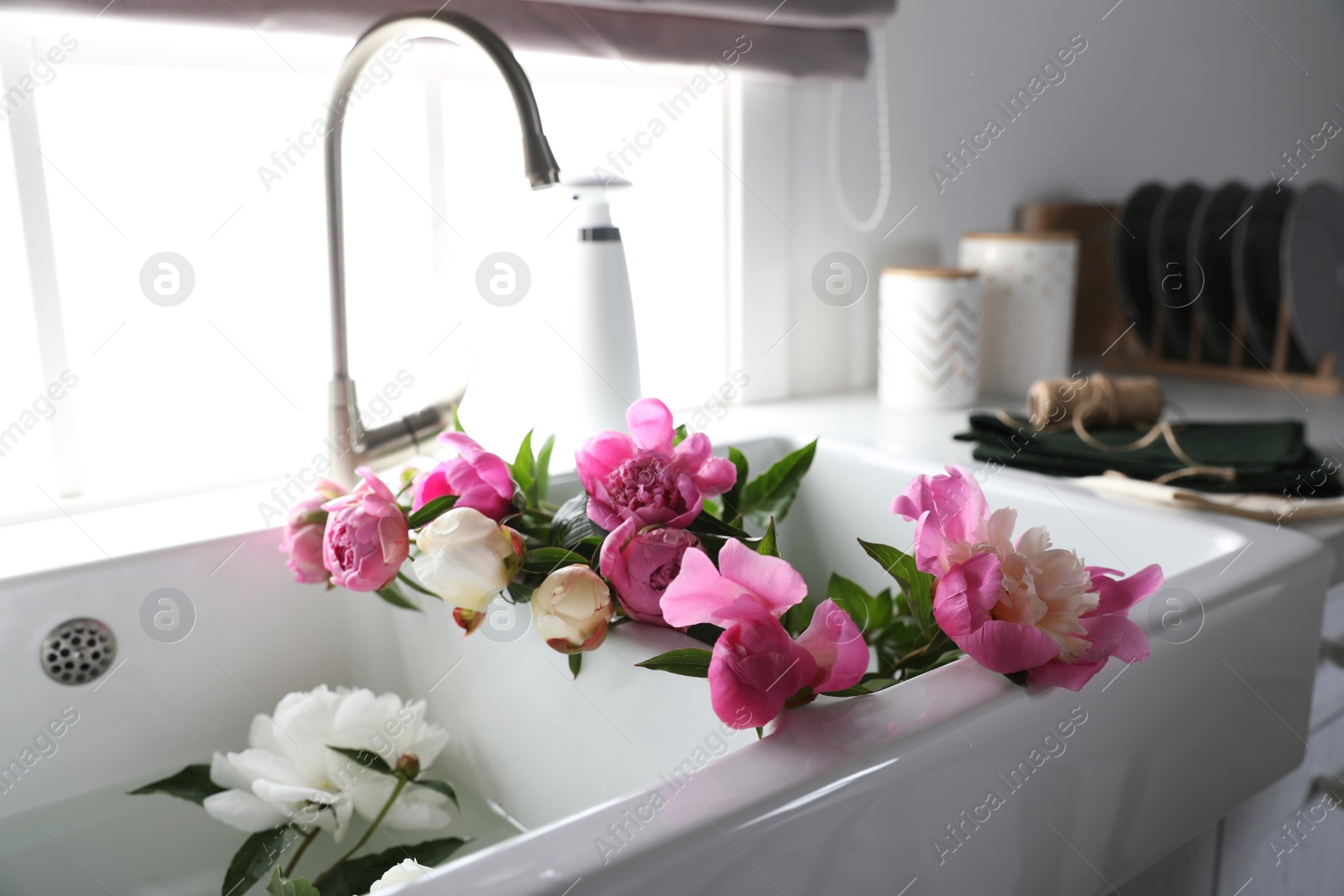 Photo of Bunch of beautiful peonies in kitchen sink