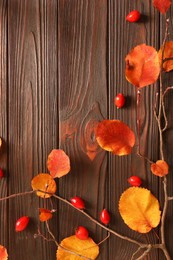 Photo of Tree branch with yellowed leaves and rosehip berries on wooden table, flat lay. Space for text