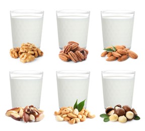 Image of Set with different types of vegan milk and nuts on white background 
