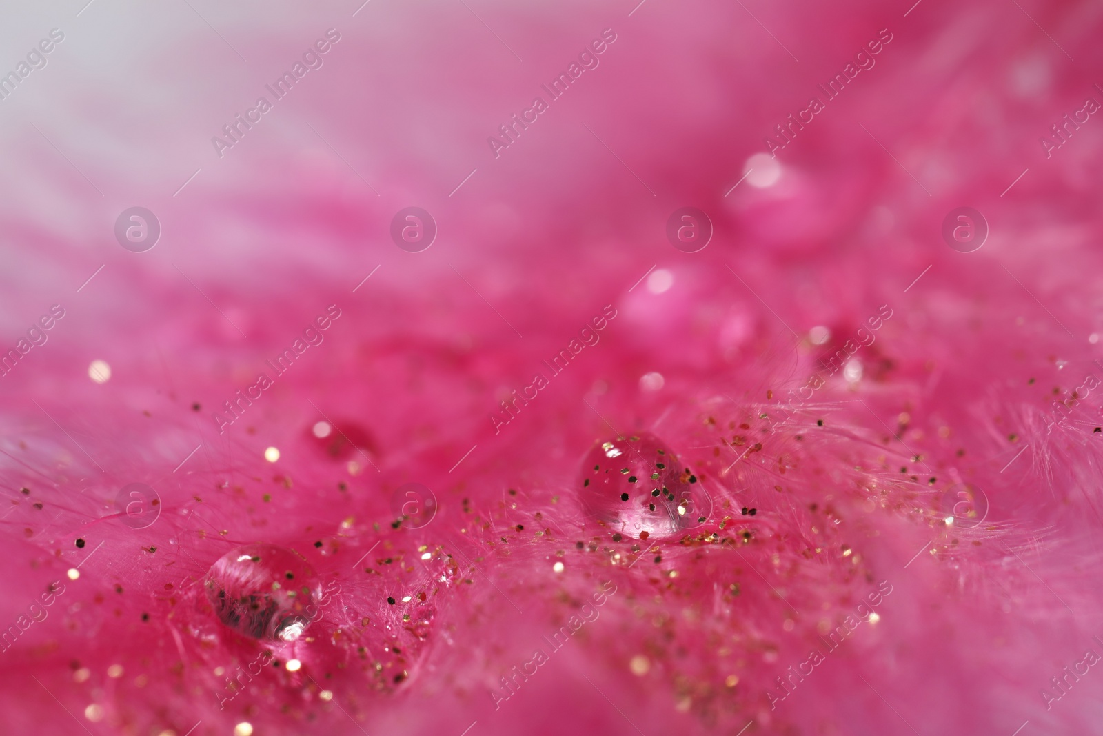 Photo of Closeup view of beautiful feather with dew drops and glitter
