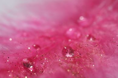 Closeup view of beautiful feather with dew drops and glitter