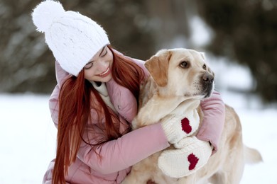Beautiful young woman hugging cute Labrador Retriever on winter day outdoors