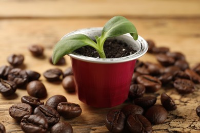 Coffee capsule with seedling and beans on table, closeup