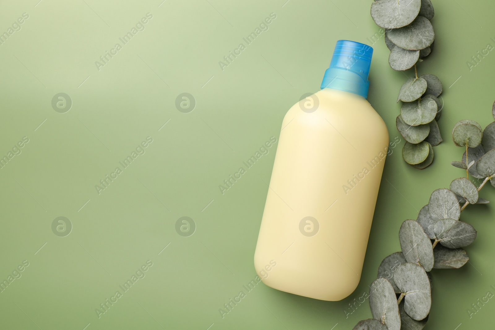 Bottle of fabric softener and eucalyptus leaves on light green background, flat lay. Space for text Photo of Bottle of fabric softener and eucalyptus leaves on light green background, flat lay. Space for text