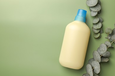 Photo of Bottle of fabric softener and eucalyptus leaves on light green background, flat lay. Space for text