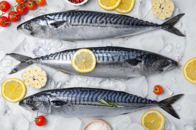 Flat lay composition with tasty raw mackerel on white marble table