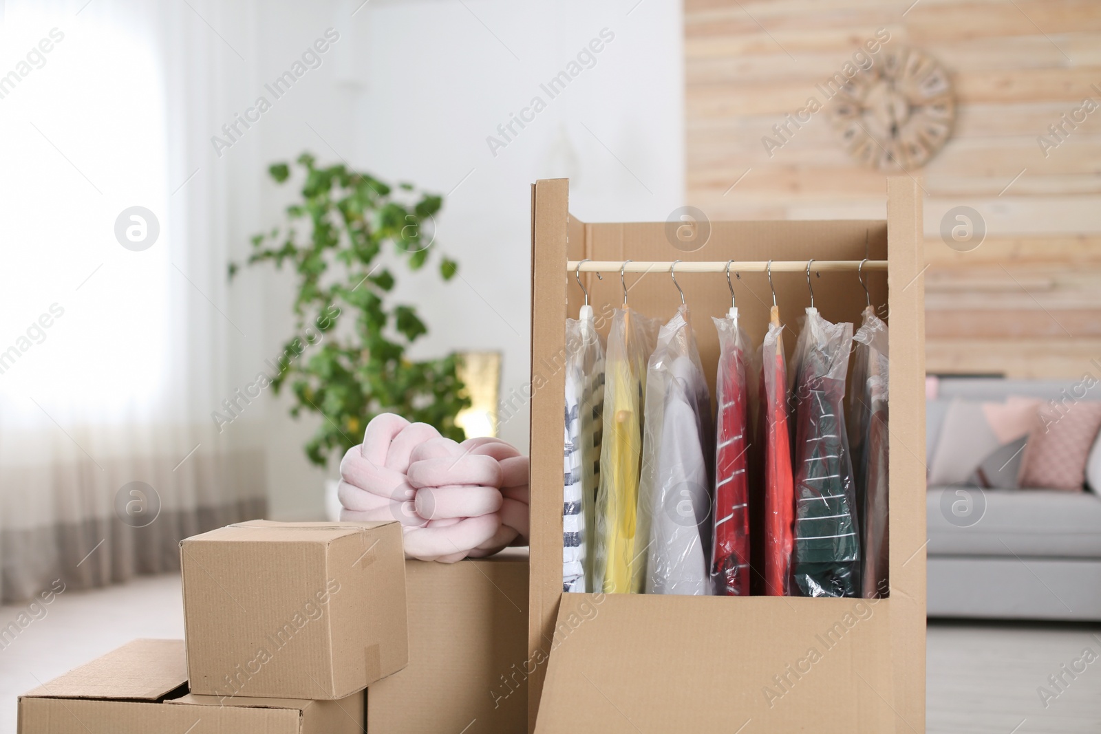 Photo of Cardboard wardrobe box with clothes on hangers in living room