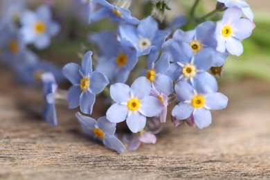 Photo of Beautiful forget-me-not flowers on wooden background, closeup