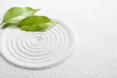 Photo of Zen rock garden. Circle pattern and green leaves on white sand