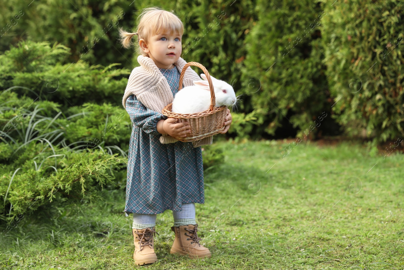 Photo of Cute little girl holding wicker basket with adorable rabbit outdoors on sunny day. Space for text