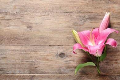 Photo of Beautiful pink lily flowers on wooden table, top view. Space for text