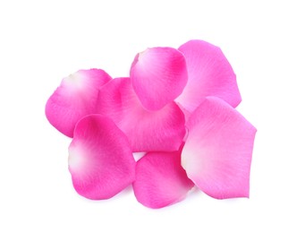 Photo of Many pink rose petals on white background, top view