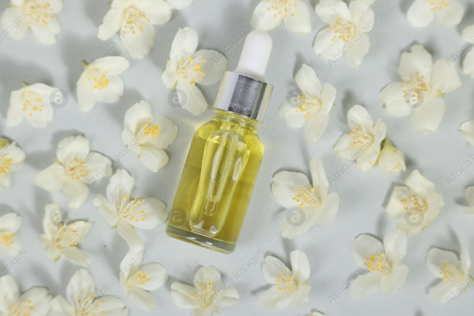 Photo of Essential oil in bottle and beautiful jasmine flowers on grey background, flat lay