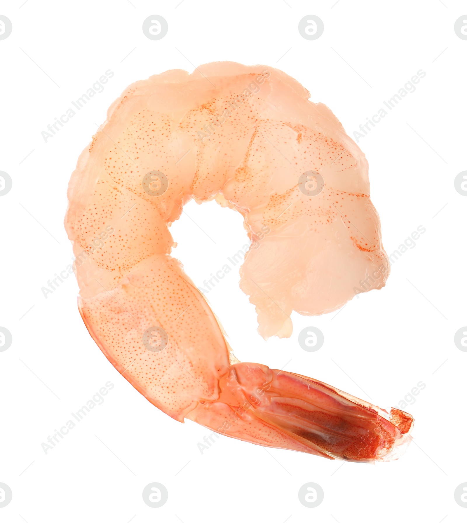 Photo of Freshly cooked delicious shrimp isolated on white