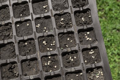 Plastic seed box with soil and grains outdoors, top view