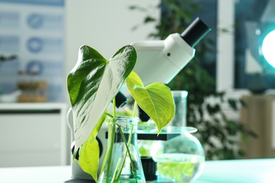 Photo of Flask with green plant against microscope in laboratory