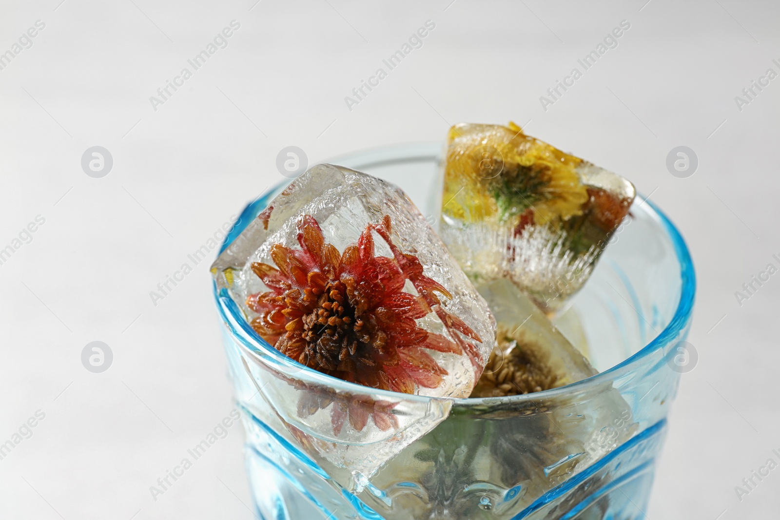 Photo of Glass of ice cubes with flowers on light background, closeup