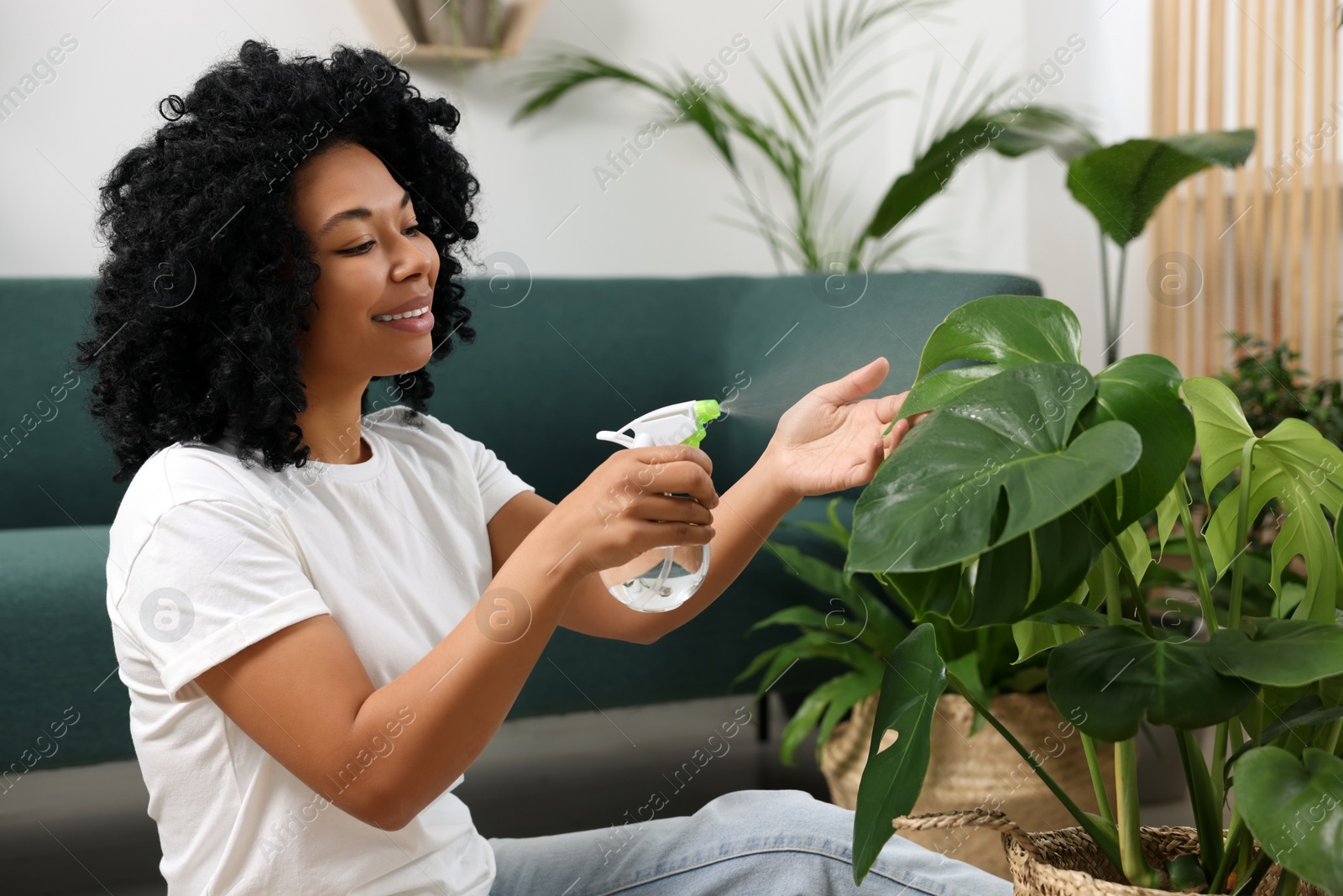 Photo of Houseplant care. Woman spraying beautiful monstera with water indoors. Houseplant care