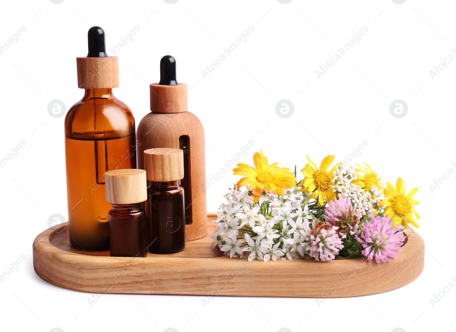 Photo of Tray with bottles of essential oils and different wildflowers on white background