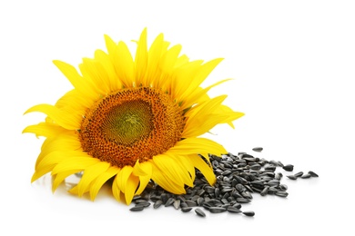 Photo of Beautiful sunflower and seeds on white background