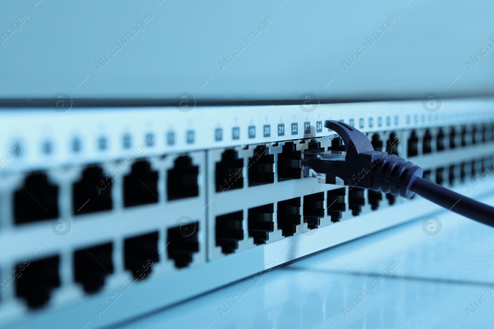 Photo of Closeup view of network switch with cable on light background, toned in blue. Internet connection