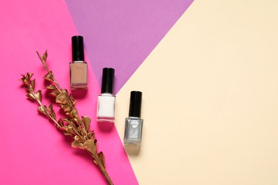 Nail polishes and golden branch on color background, flat lay. Space for text