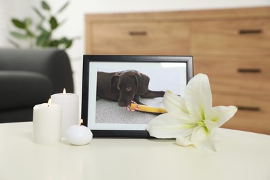 Photo of Pet funeral. Frame with picture of dog, burning candles and lily flower on white table indoors