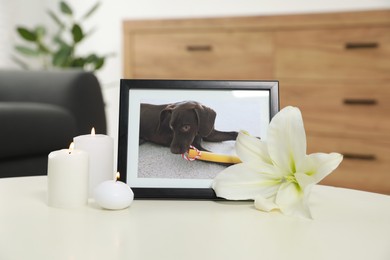 Pet funeral. Frame with picture of dog, burning candles and lily flower on white table indoors