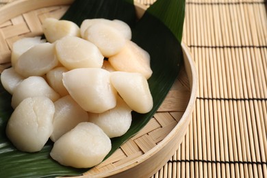 Photo of Fresh raw scallops in bowl on bamboo mat, closeup. Space for text