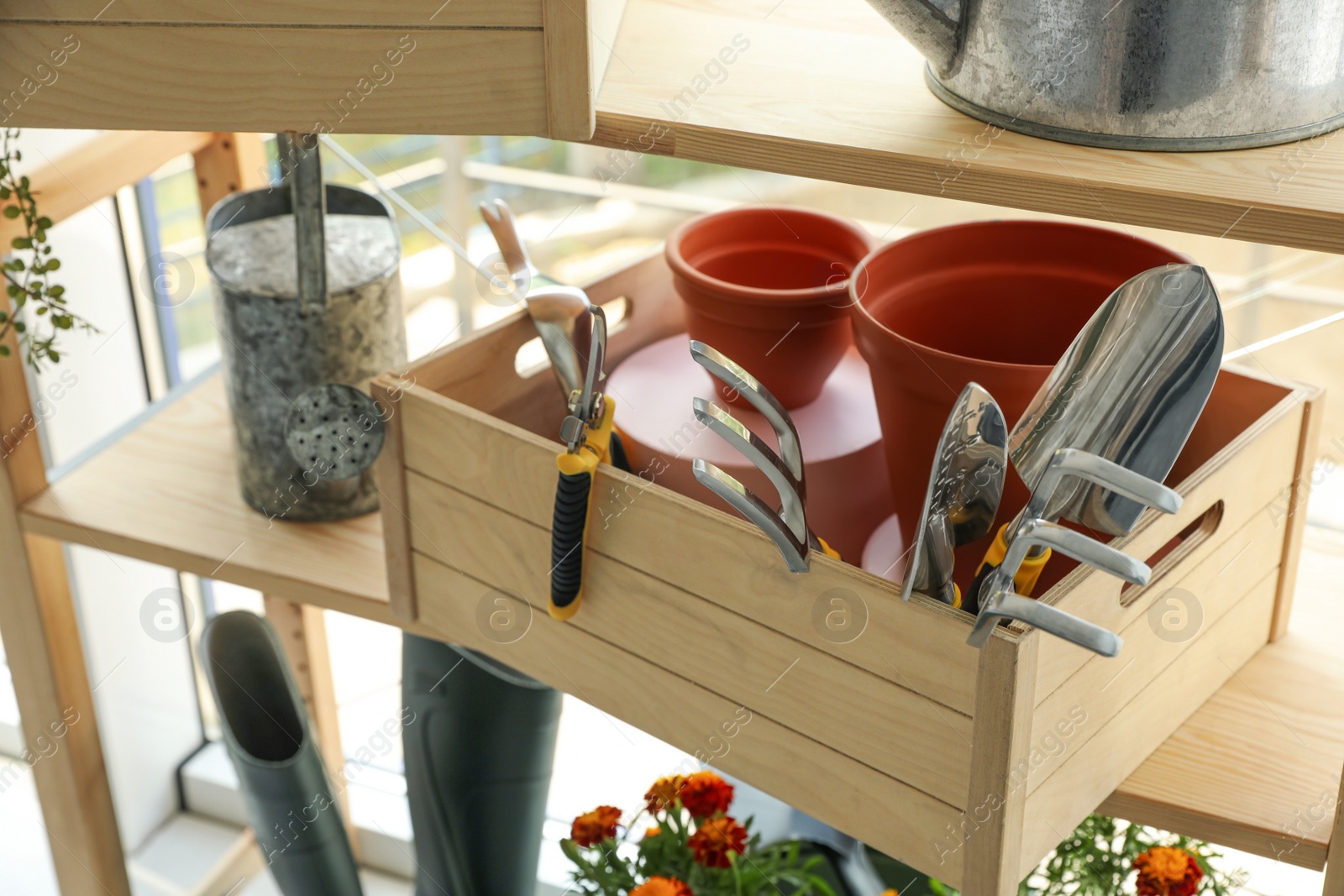 Photo of Wooden crate with gardening tools on rack indoors