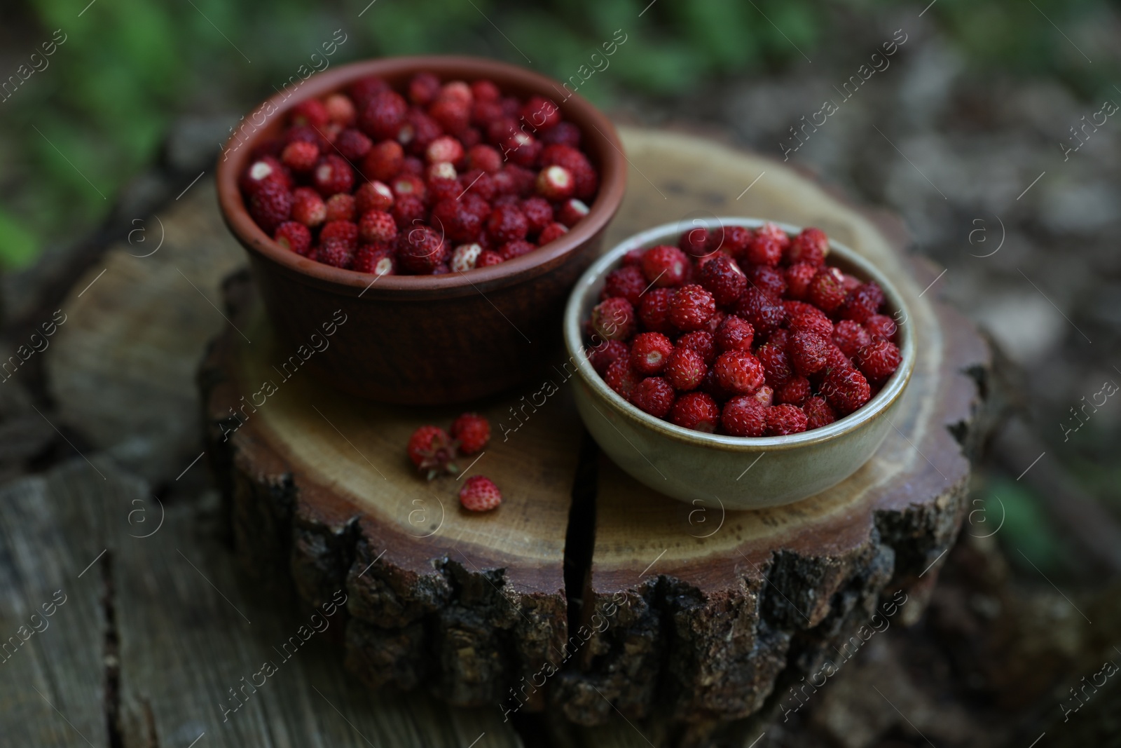 Photo of Bowls of tasty wild strawberries on stump outdoors, closeup