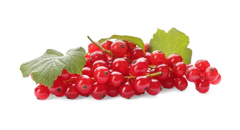 Photo of Delicious ripe red currants isolated on white