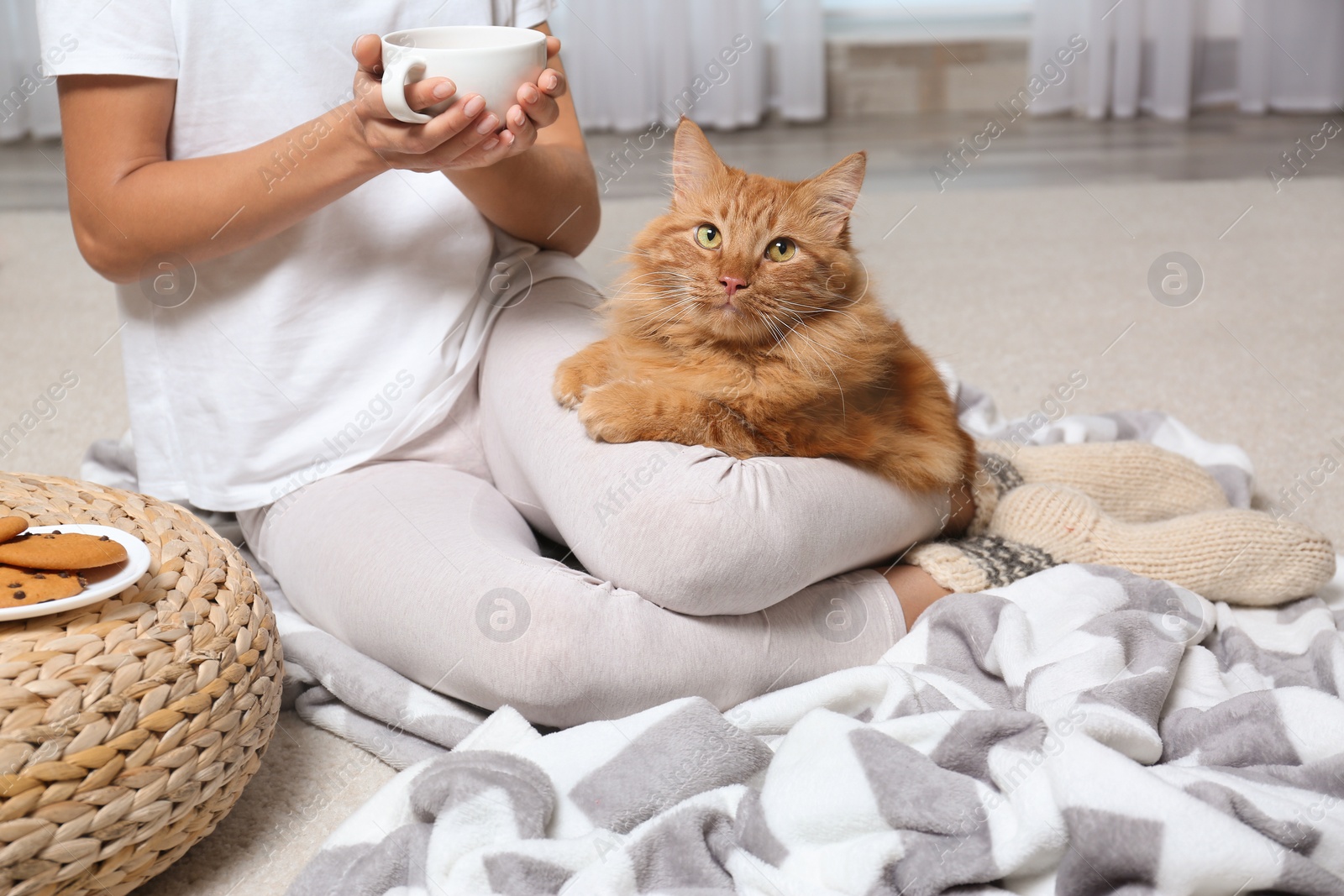 Photo of Woman with cute red cat and cup of tea on blanket at home, closeup view