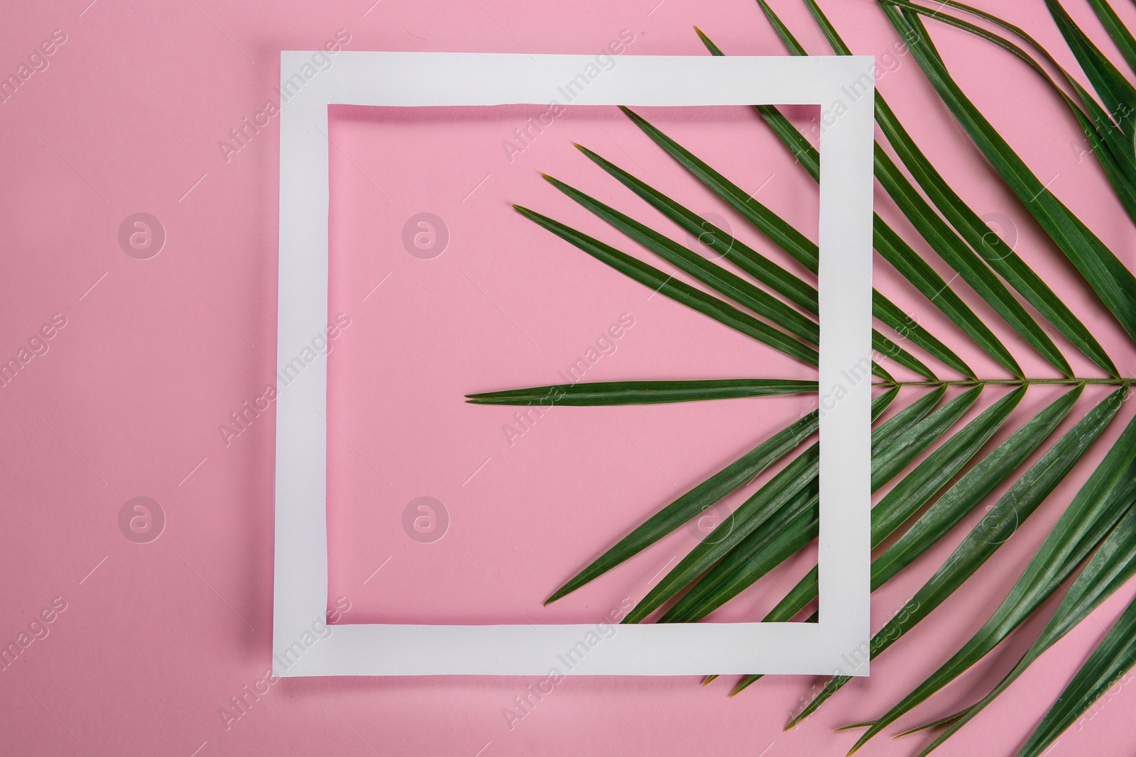 Photo of Flat lay composition with tropical leaves on color background