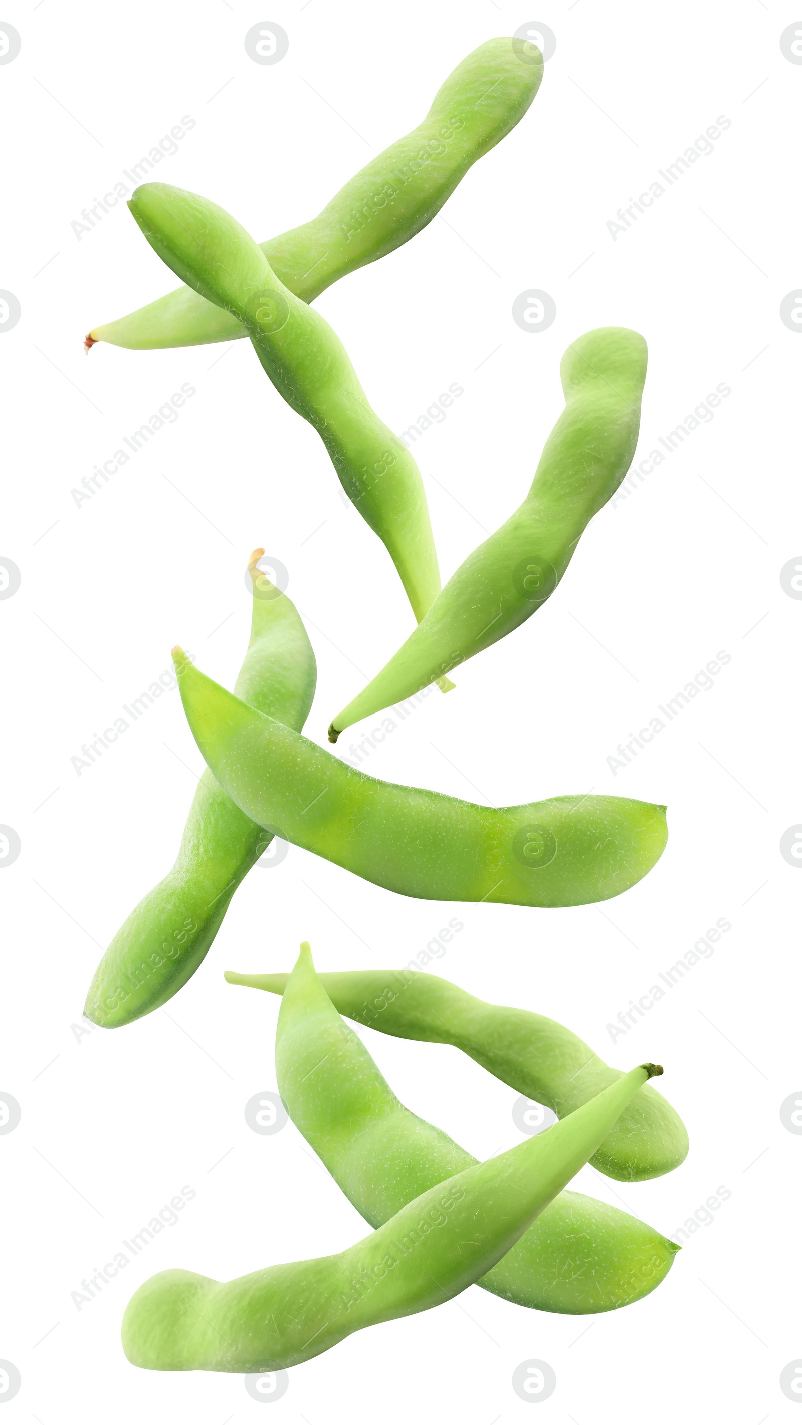 Image of Many green edamame pods falling on white background