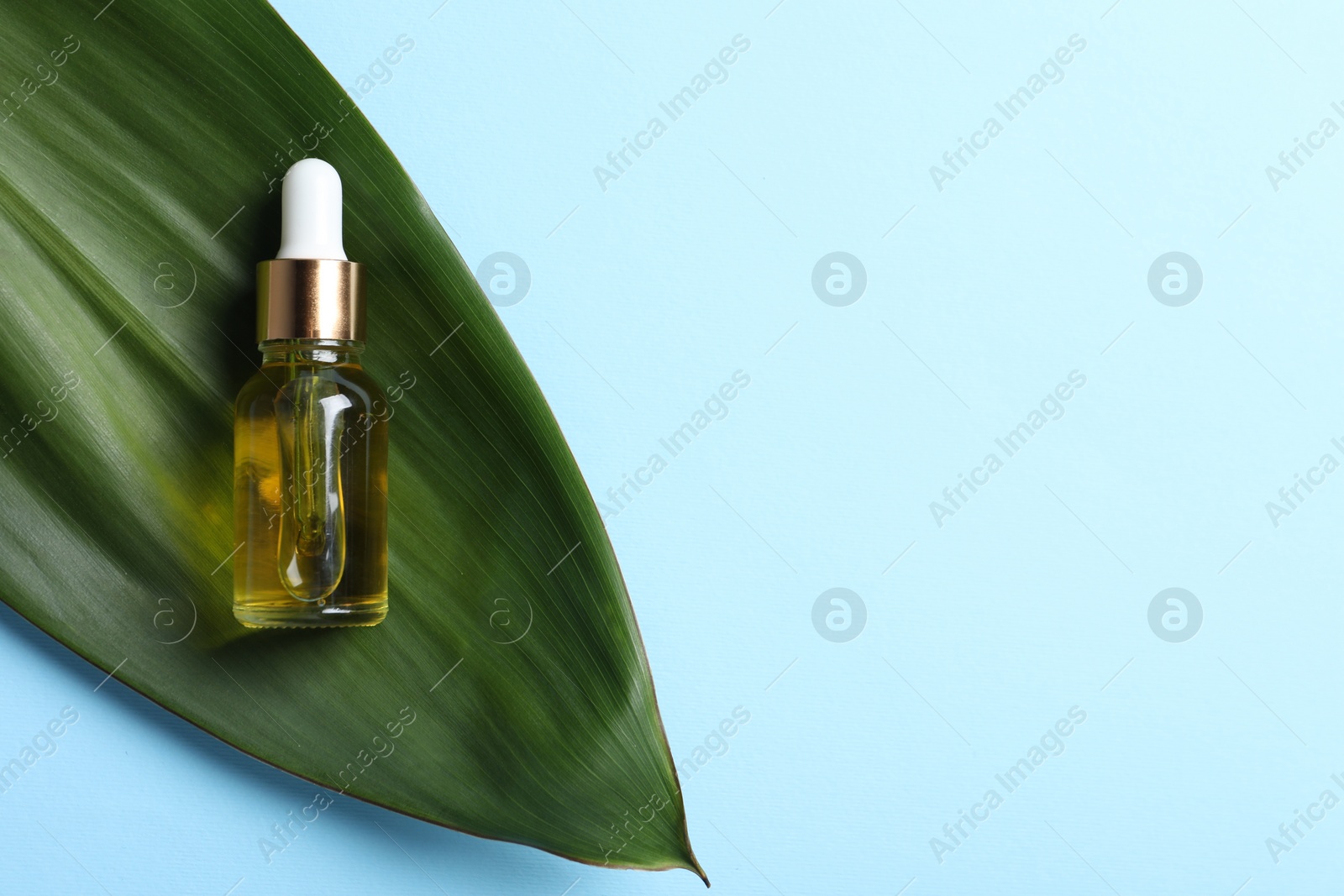 Photo of Bottle with cosmetic oil and leaf on light blue background, top view. Space for text