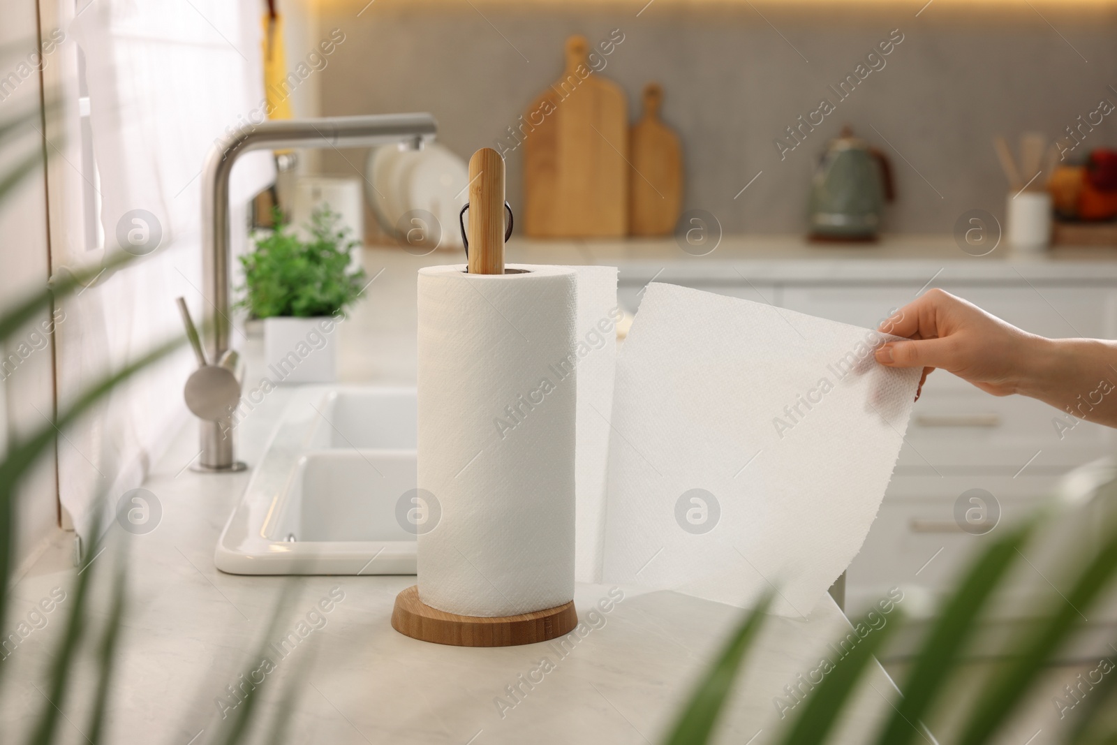 Photo of Woman using paper towels in kitchen, closeup