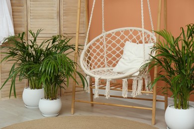 Beautiful exotic house plants and swing chair in room. Interior design