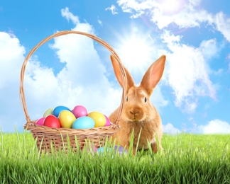 Image of Cute bunny and wicker basket with colorful Easter eggs on green grass outdoors