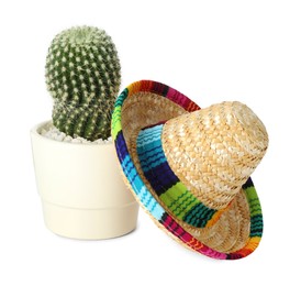 Mexican sombrero hat and cactus isolated on white