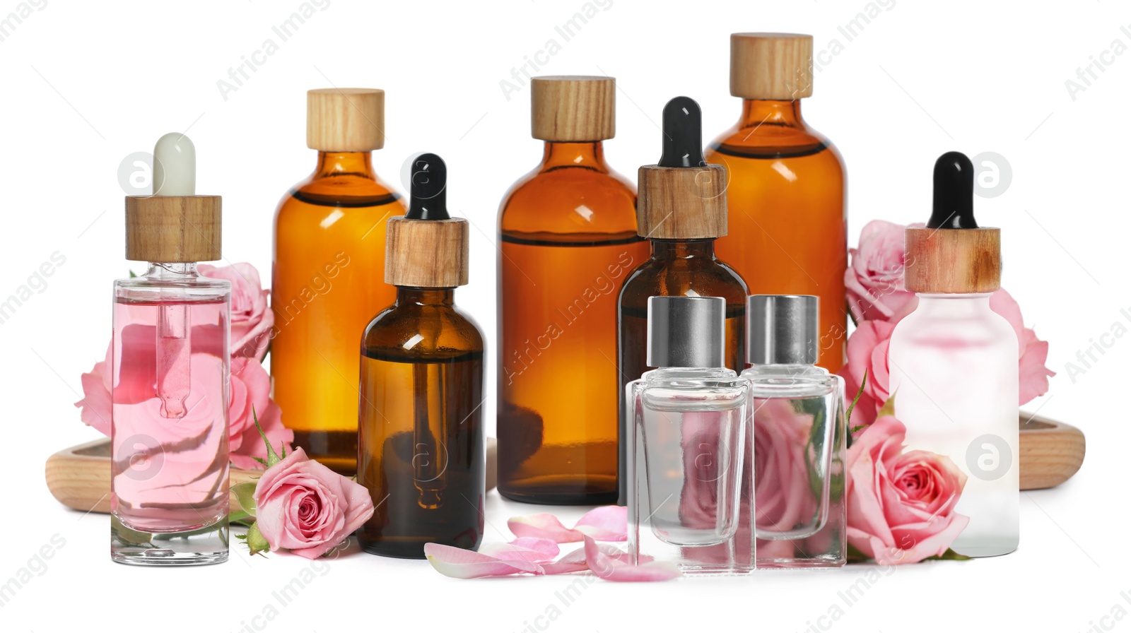 Image of Set with bottles of essential rose oil and flowers on white background