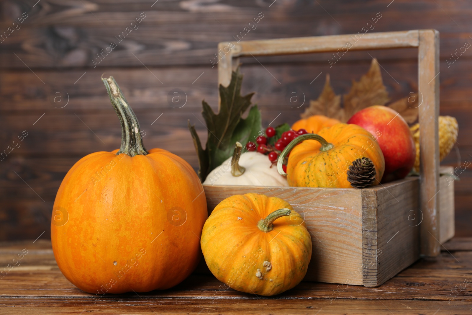 Photo of Happy Thanksgiving day. Composition with pumpkins and berries on wooden table