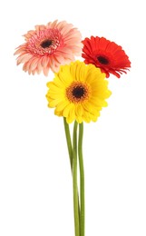 Photo of Beautiful colorful gerbera flowers on white background